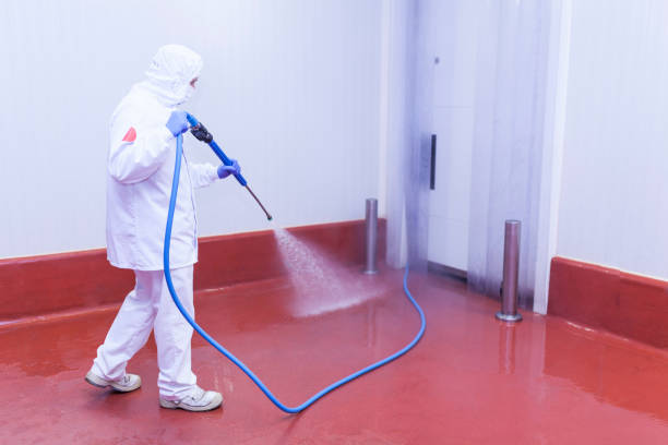 Best Roof Washing  in Montclair, CA